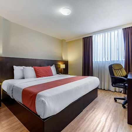 Comfort Inn San Luis Potosí Esterno foto